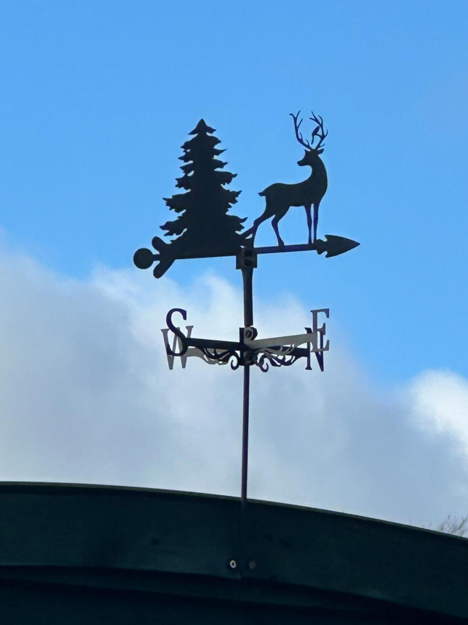 Stags Hide Hotel Minwear Eksteriør billede
